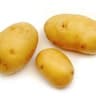 Potato
