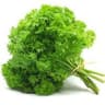 Parsley: Curly