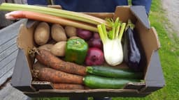 Image of Medium Veg Box
