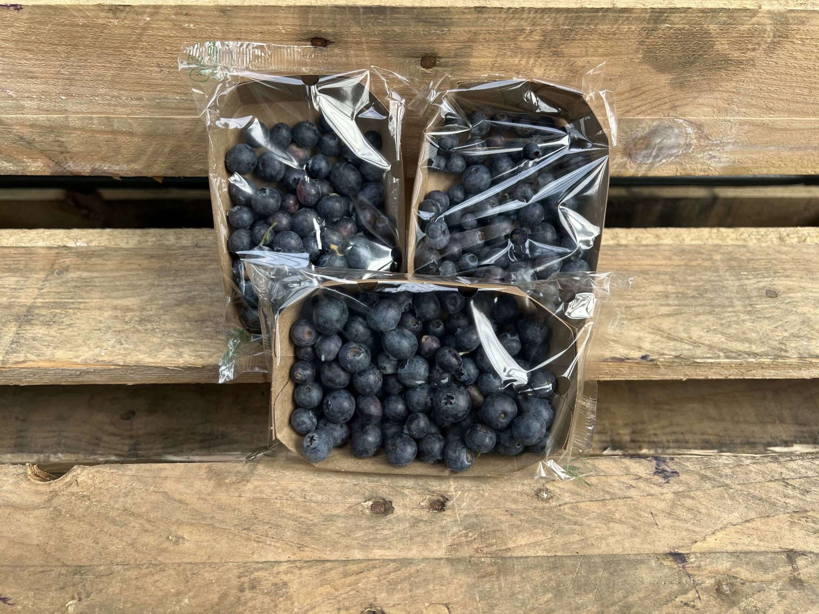 Blueberries
