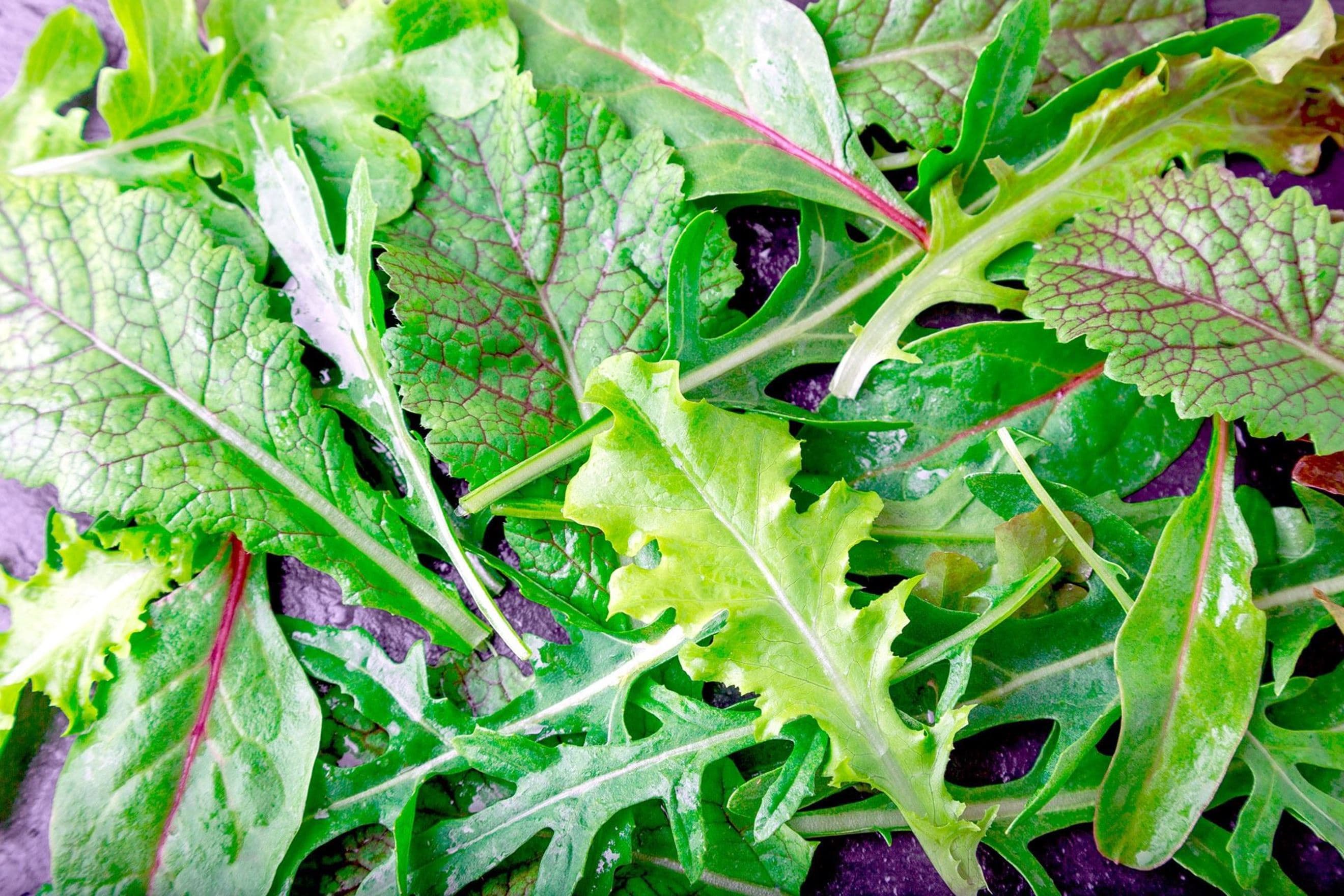 Leaves: Mixed Salad