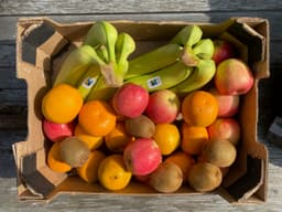 Image of Small Office Fruit Box