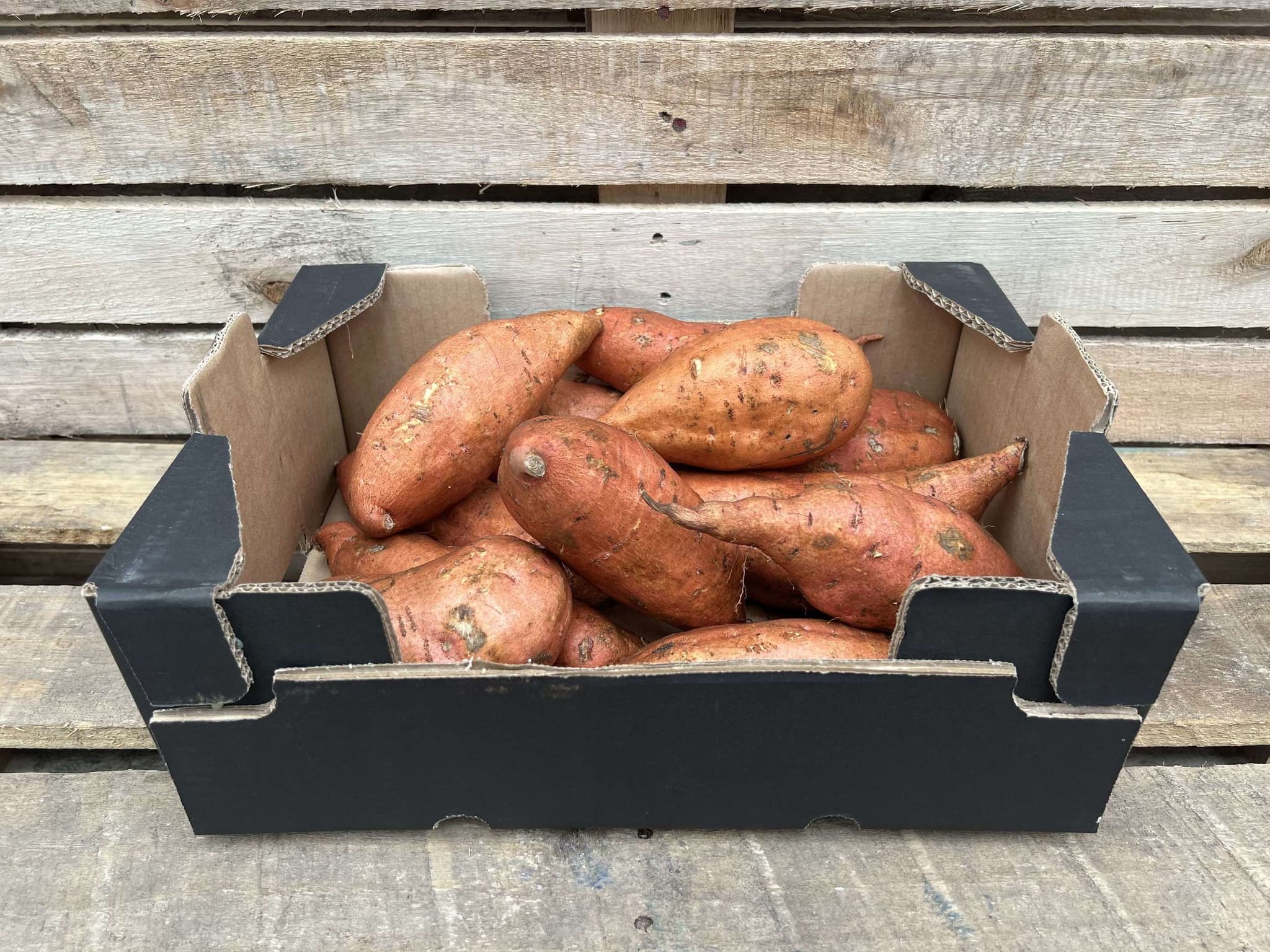 Sweet Potato