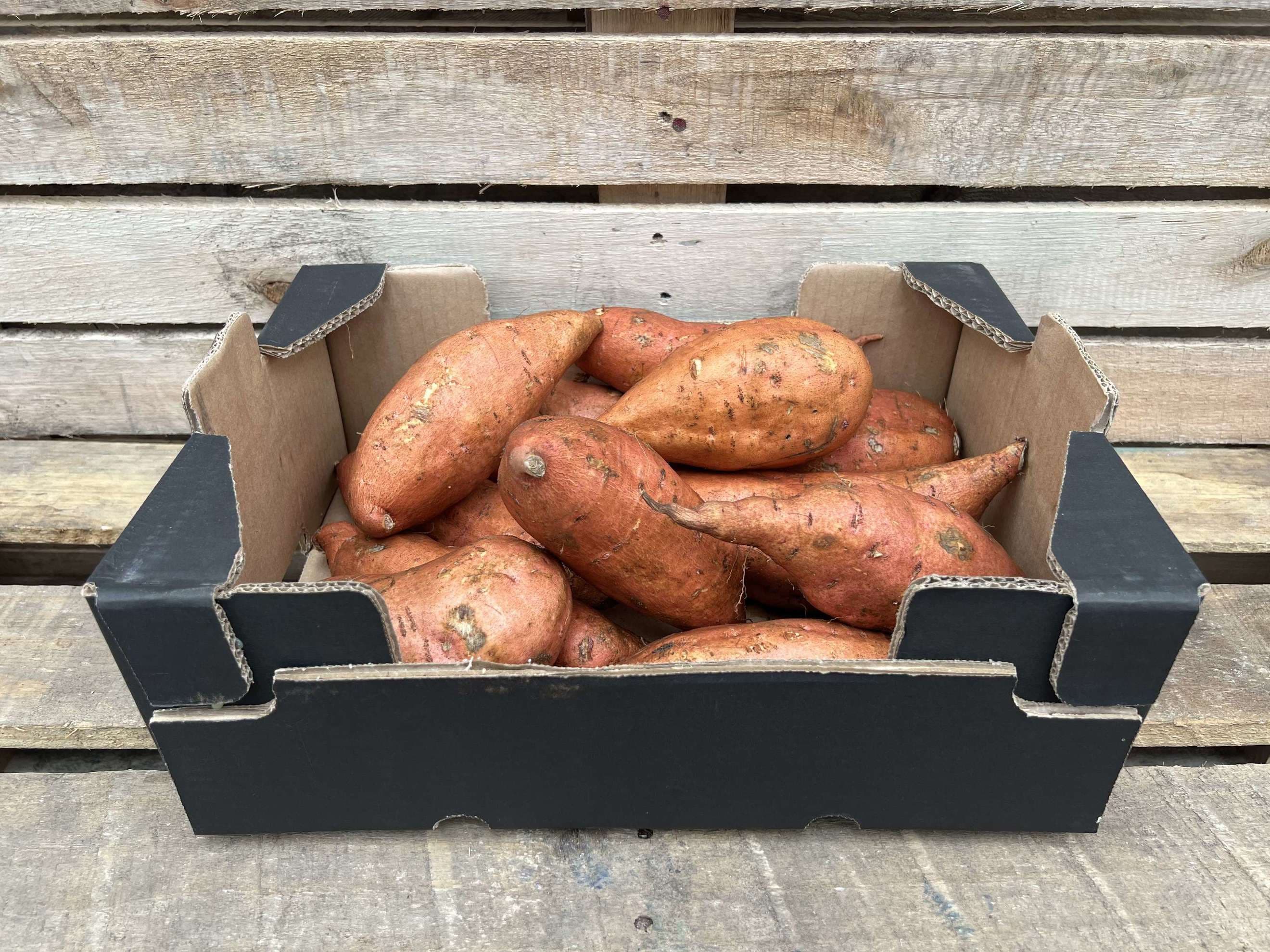 Sweet Potato