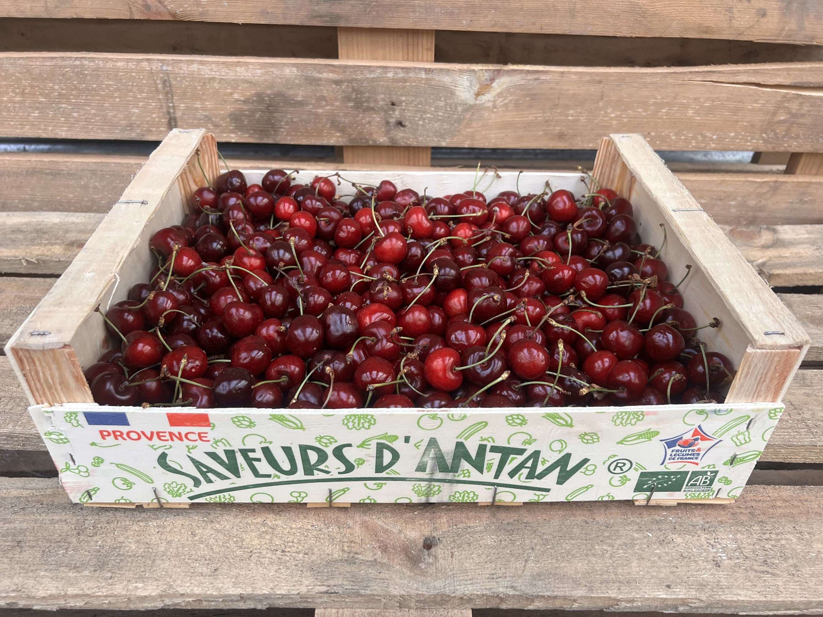 Cherries