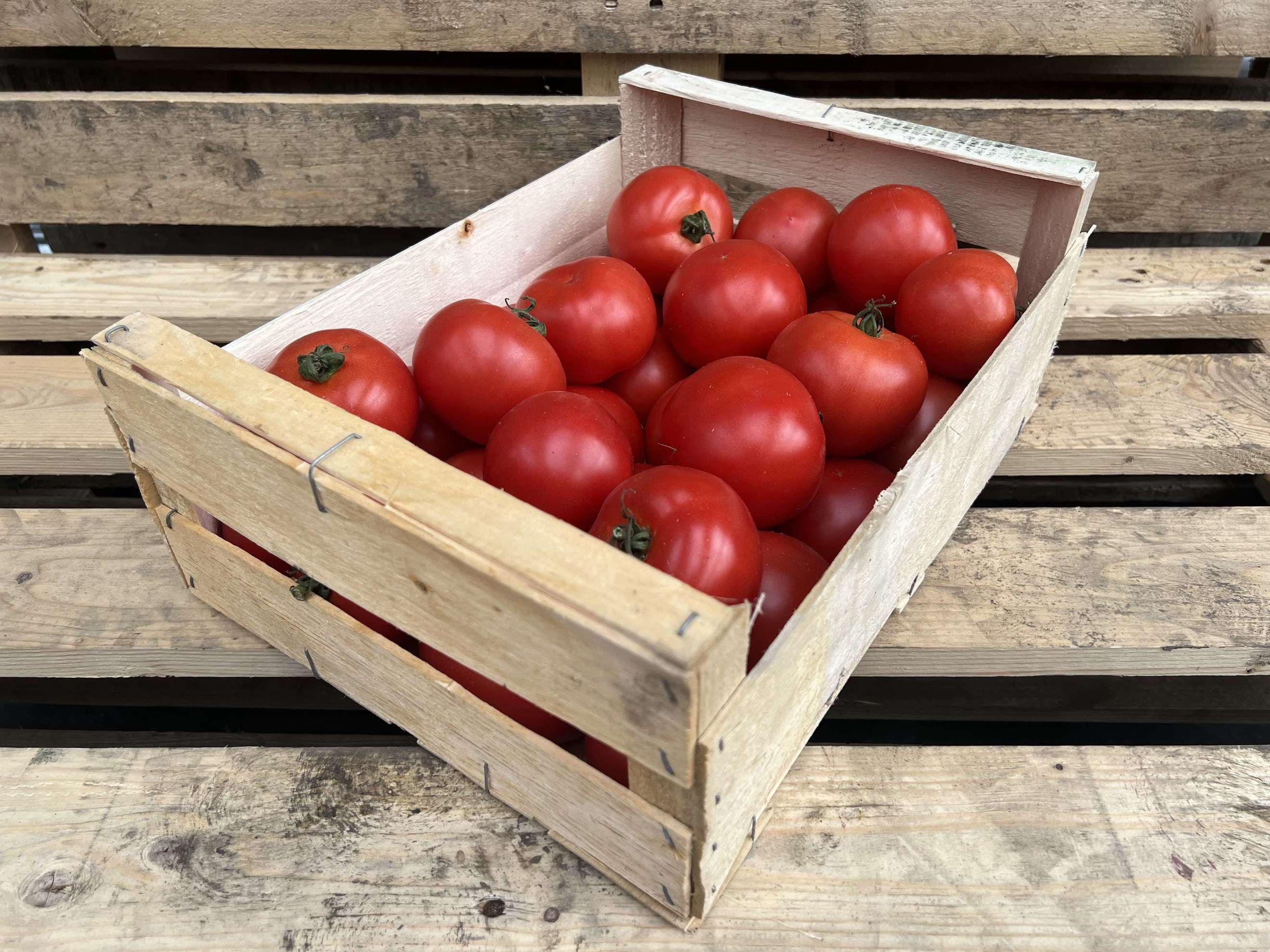 Tomatoes: Round