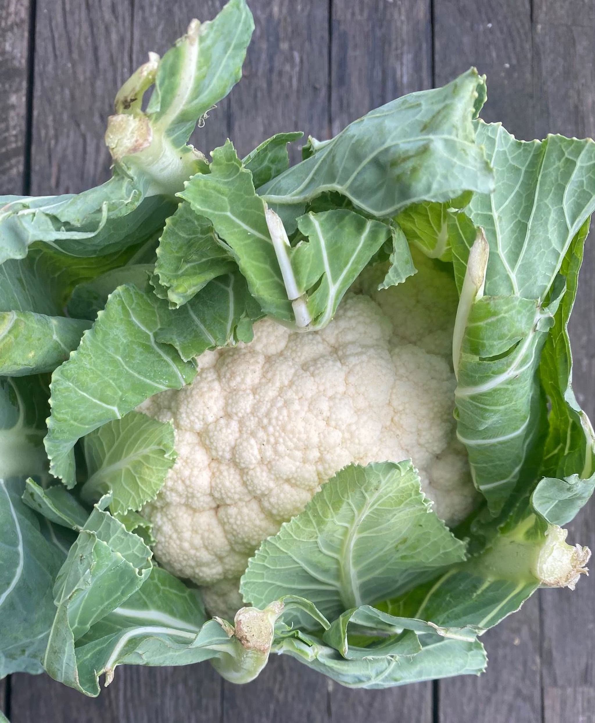 Cauliflower
