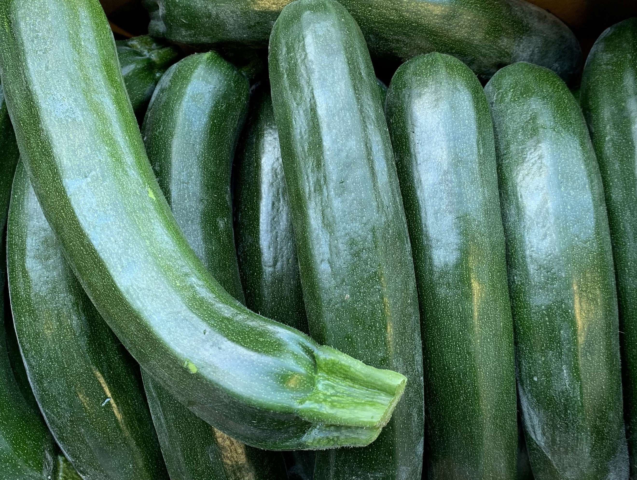 Courgette