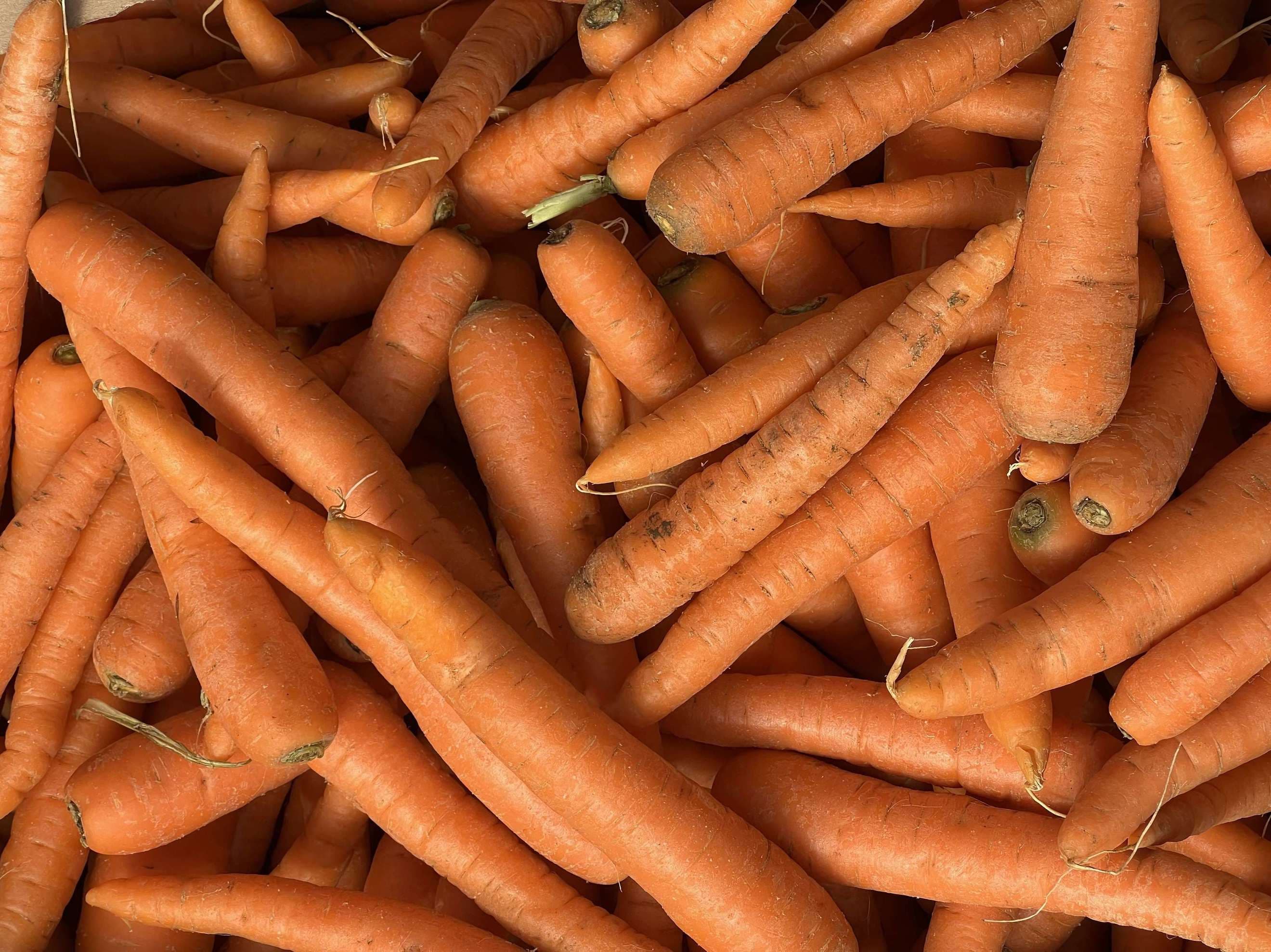 Carrot (washed)