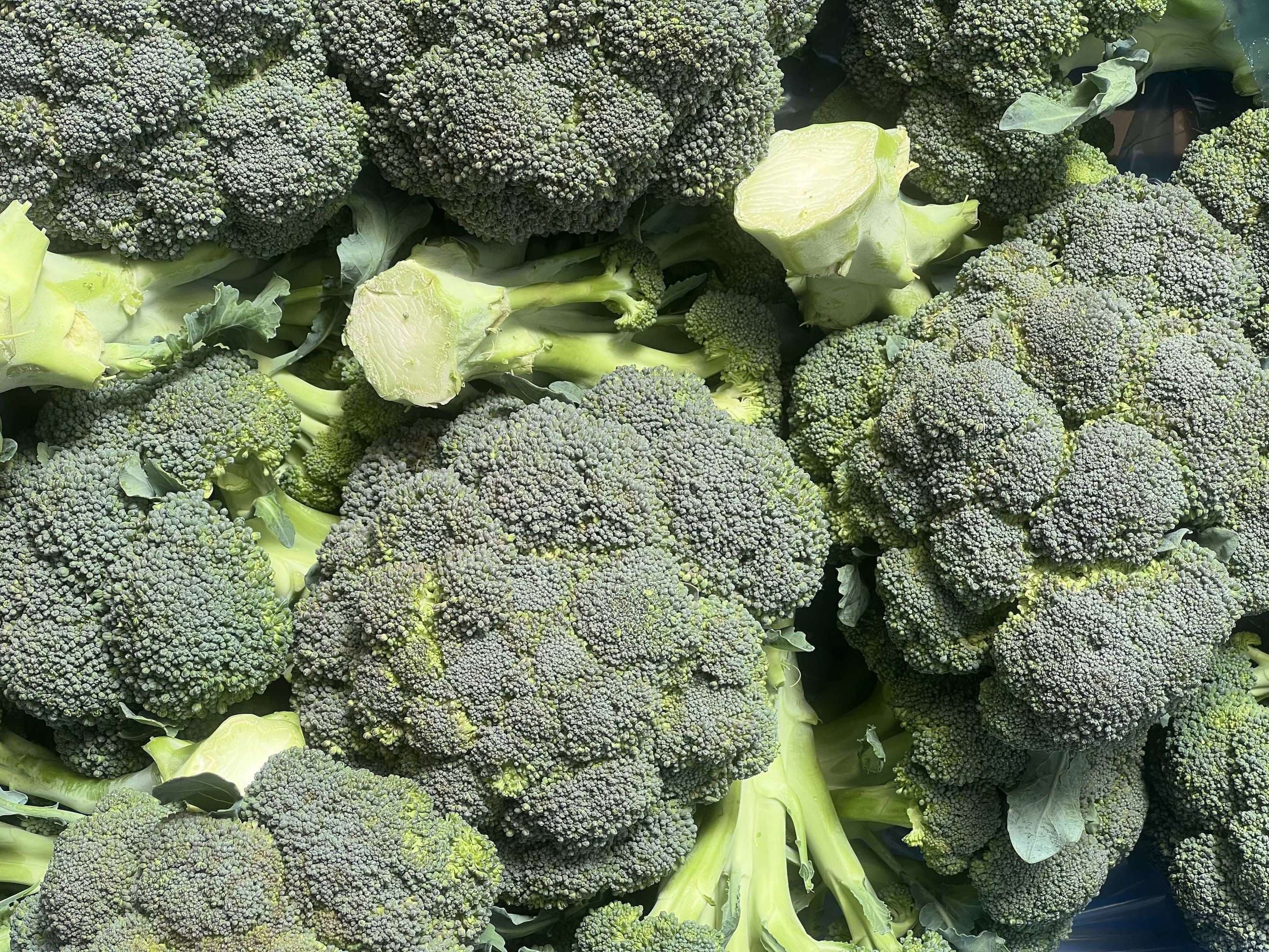 Broccoli