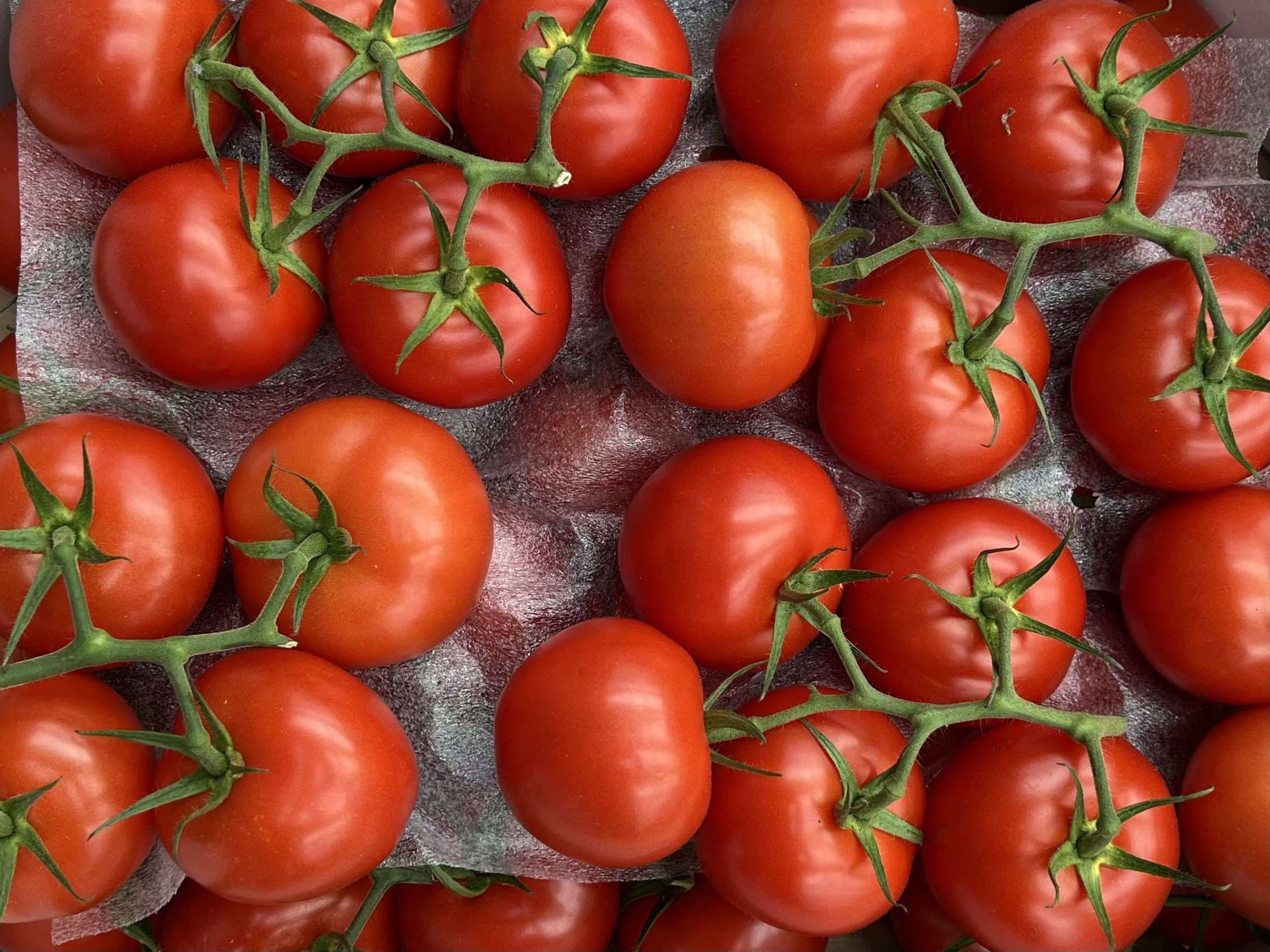 Tomato: Vine 500g