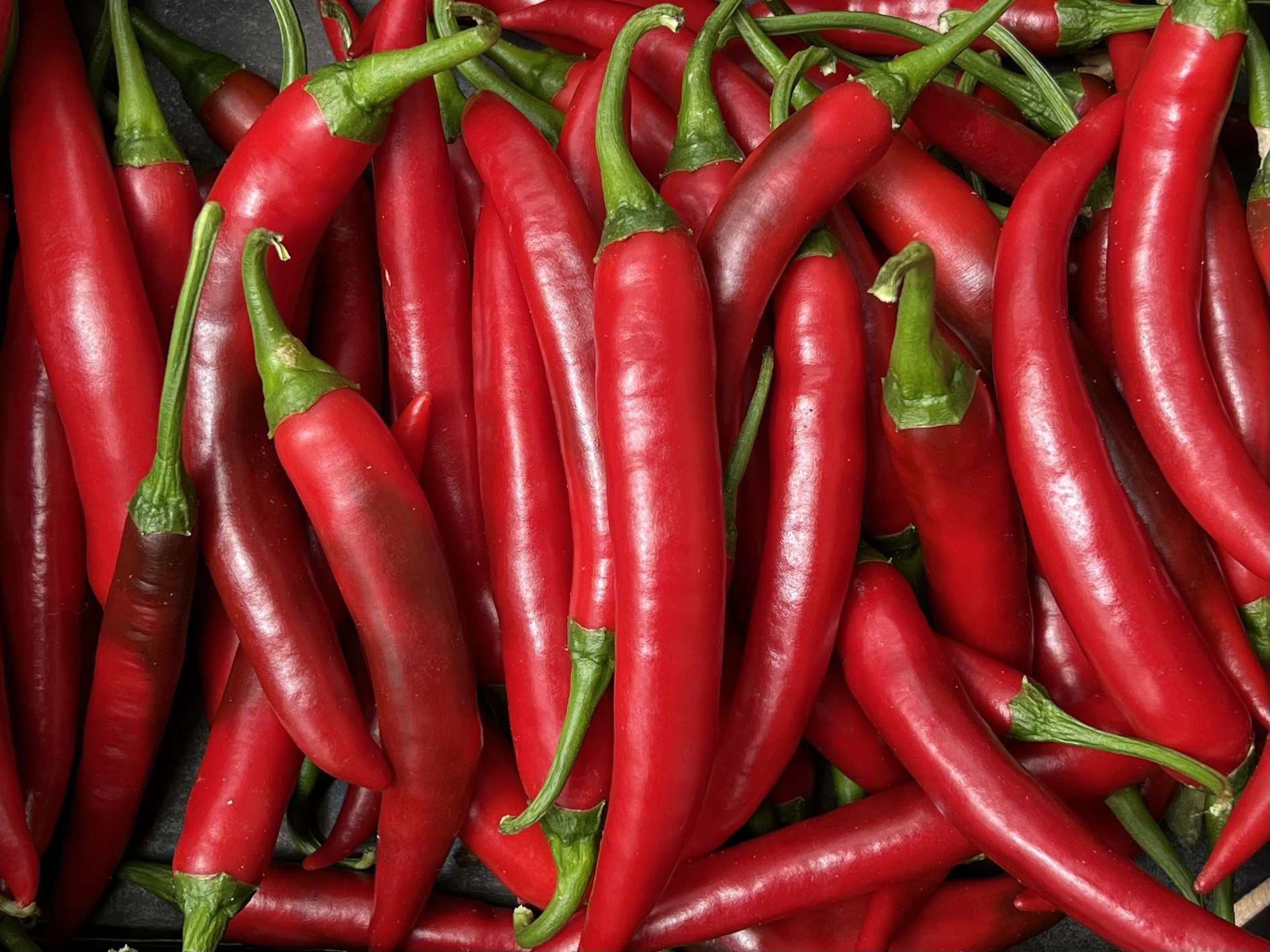 Chilli: Red