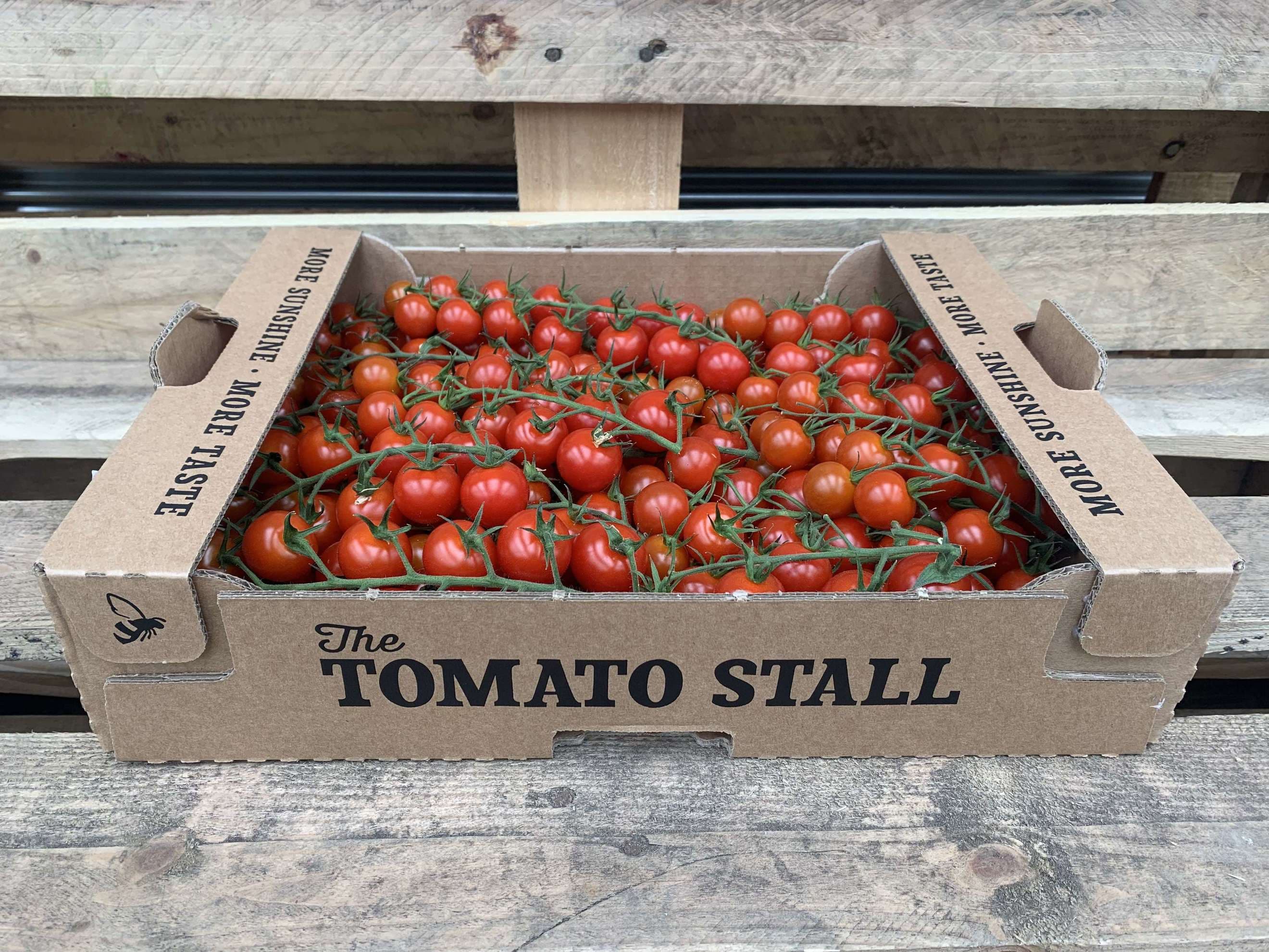 Tomato: Cherry Vine