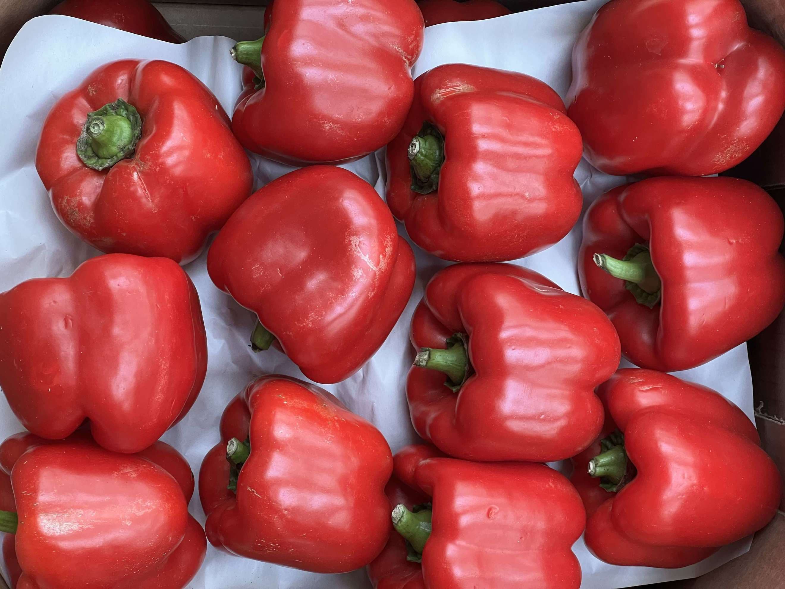 Pepper: Red