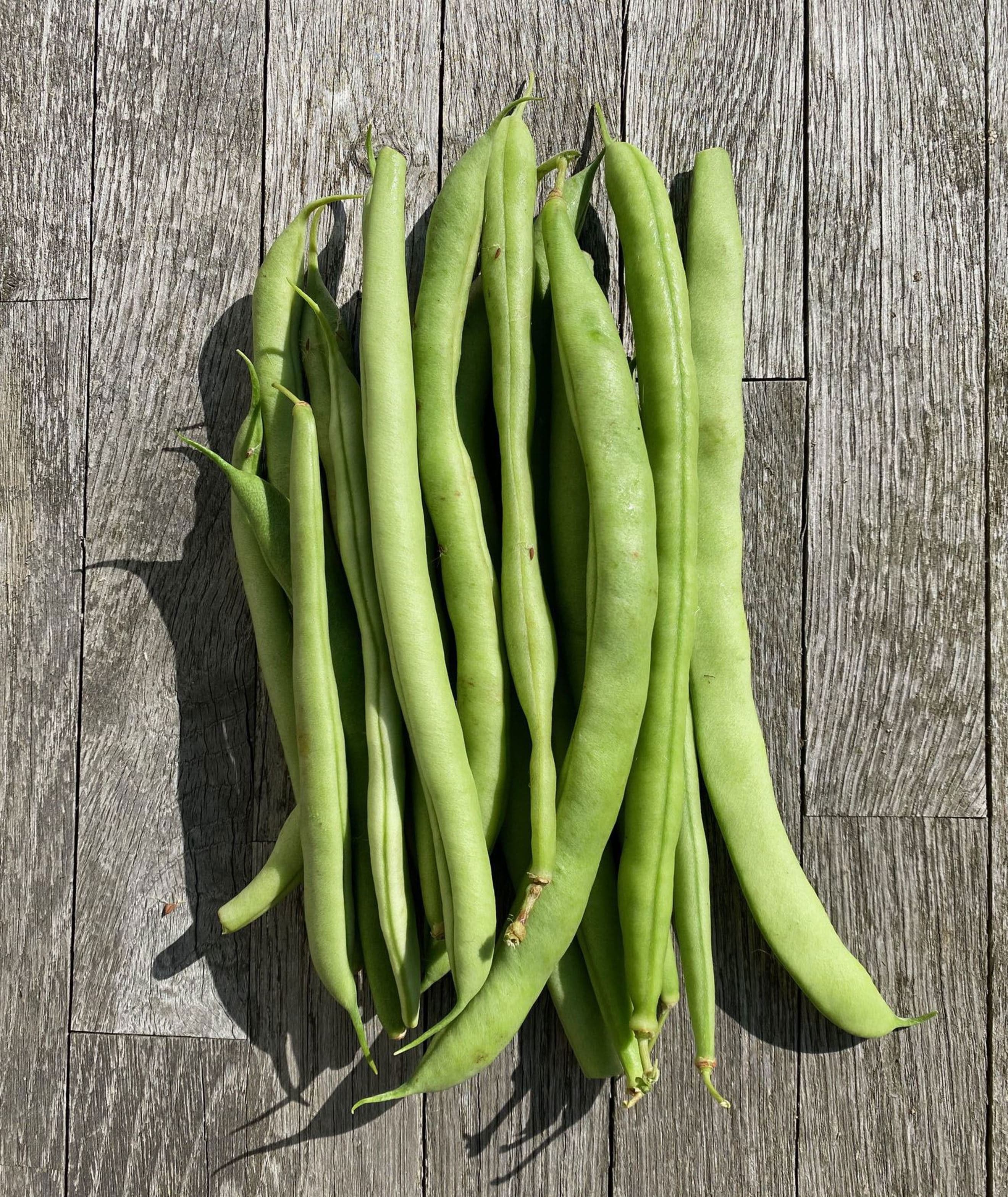 Bean: French