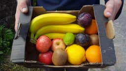 Image of Medium Fruit Box