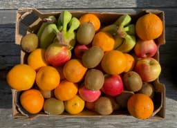 Image of Large Office Fruit Box