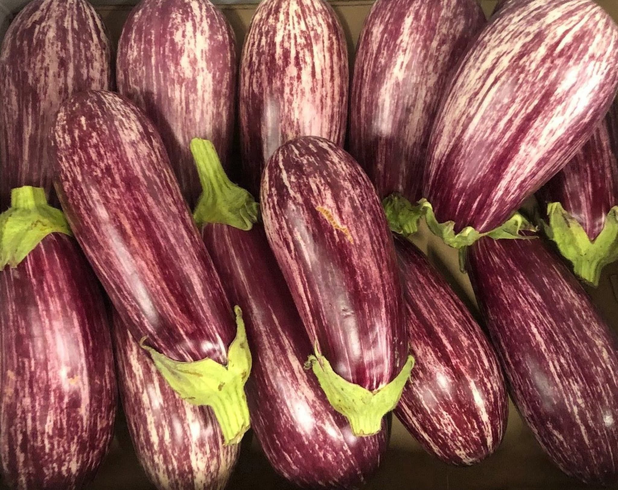 Aubergine: Graffiti