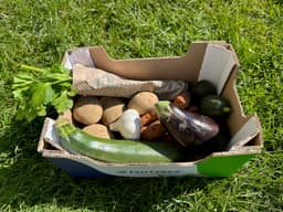 Image of Light Veg Box