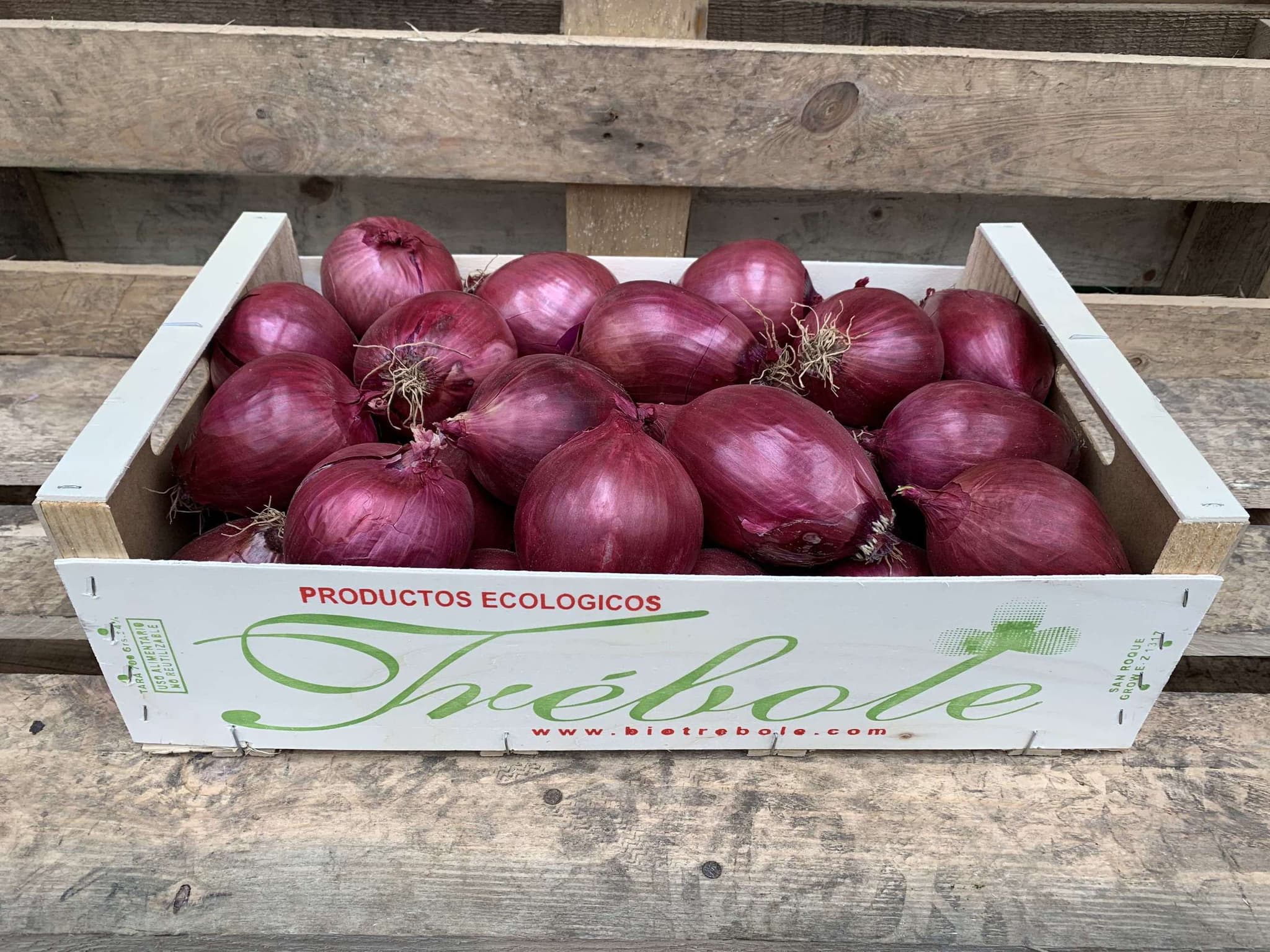 Onions: Red