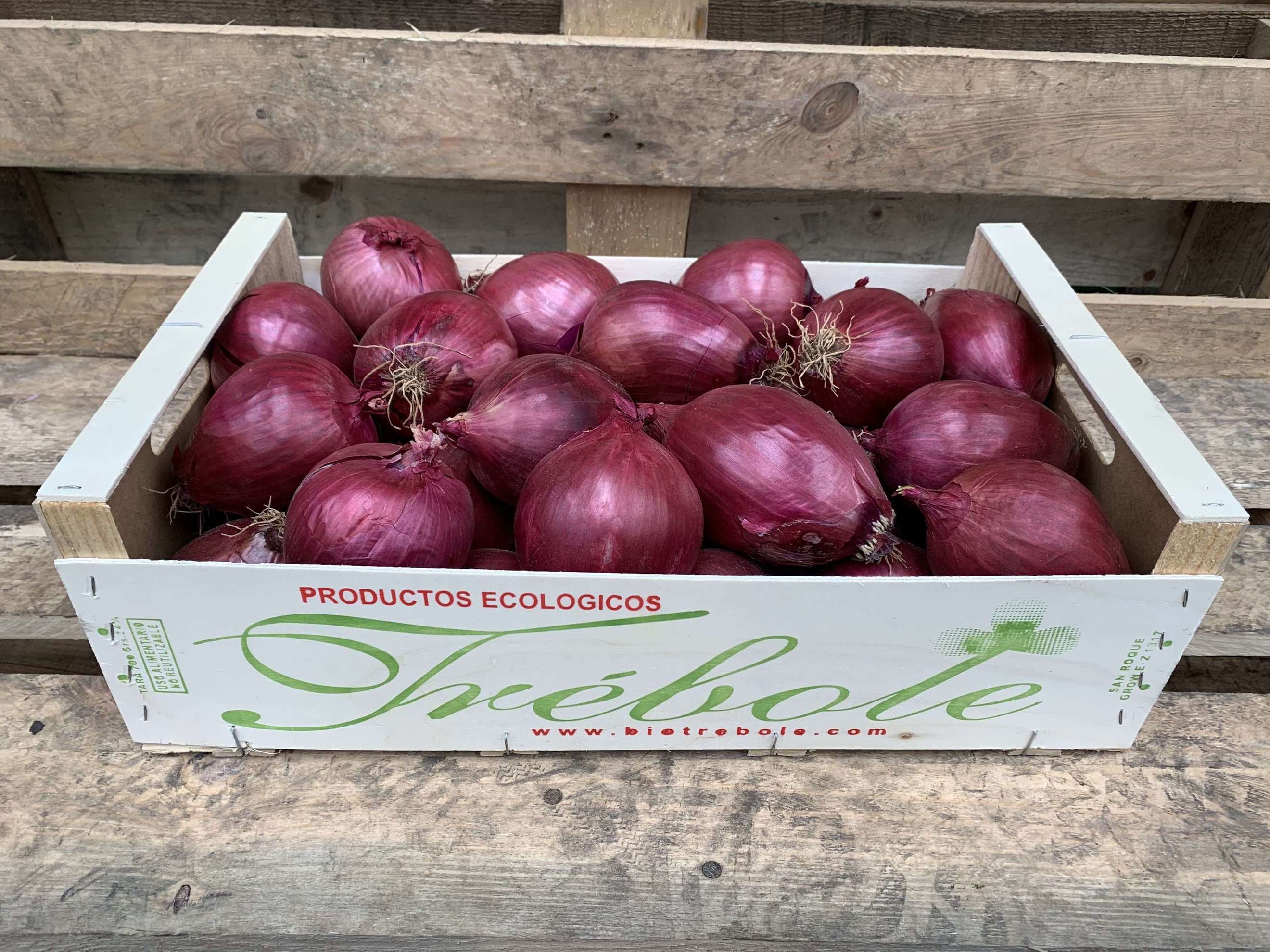 Onions: Red