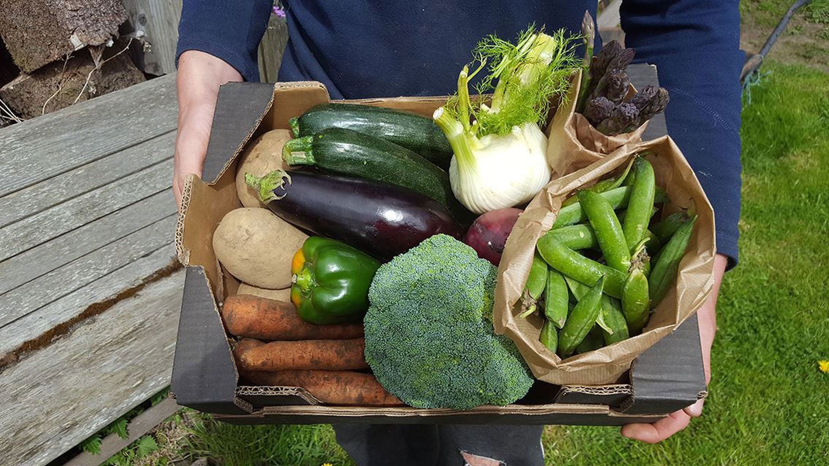 Organic Veg Boxes