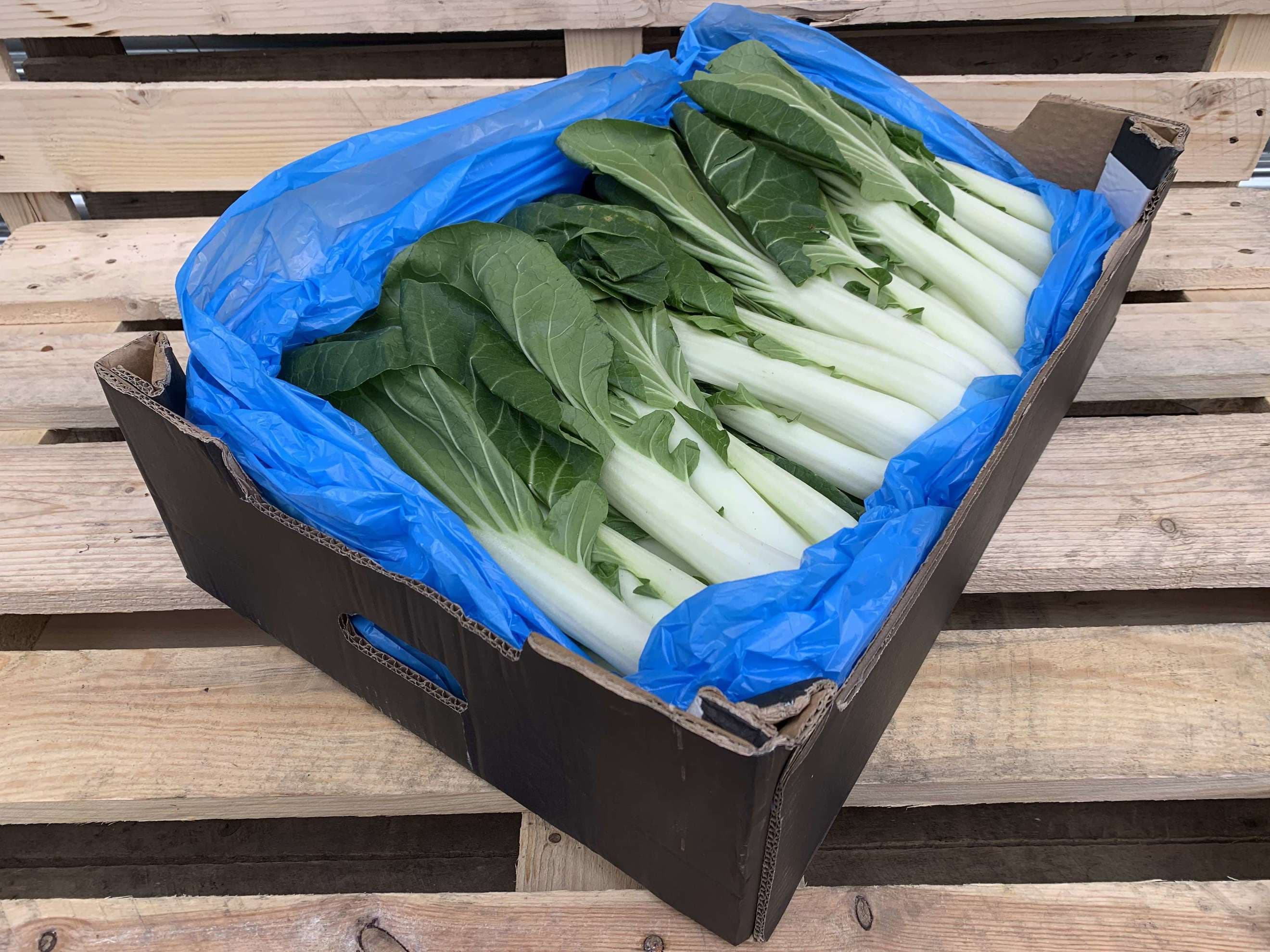 Pak Choi