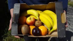 Image of Small Fruit Box