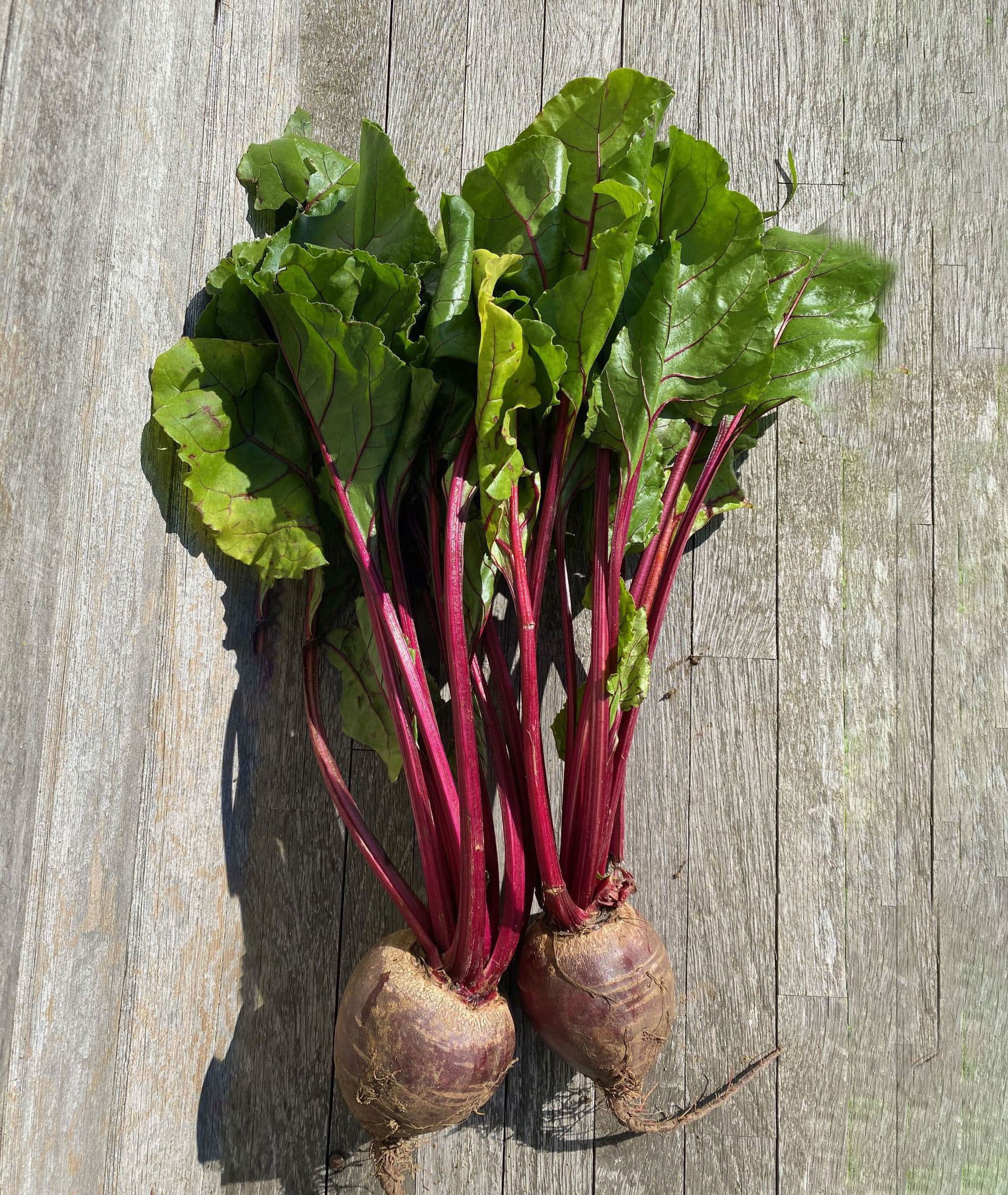 Beetroot: Red