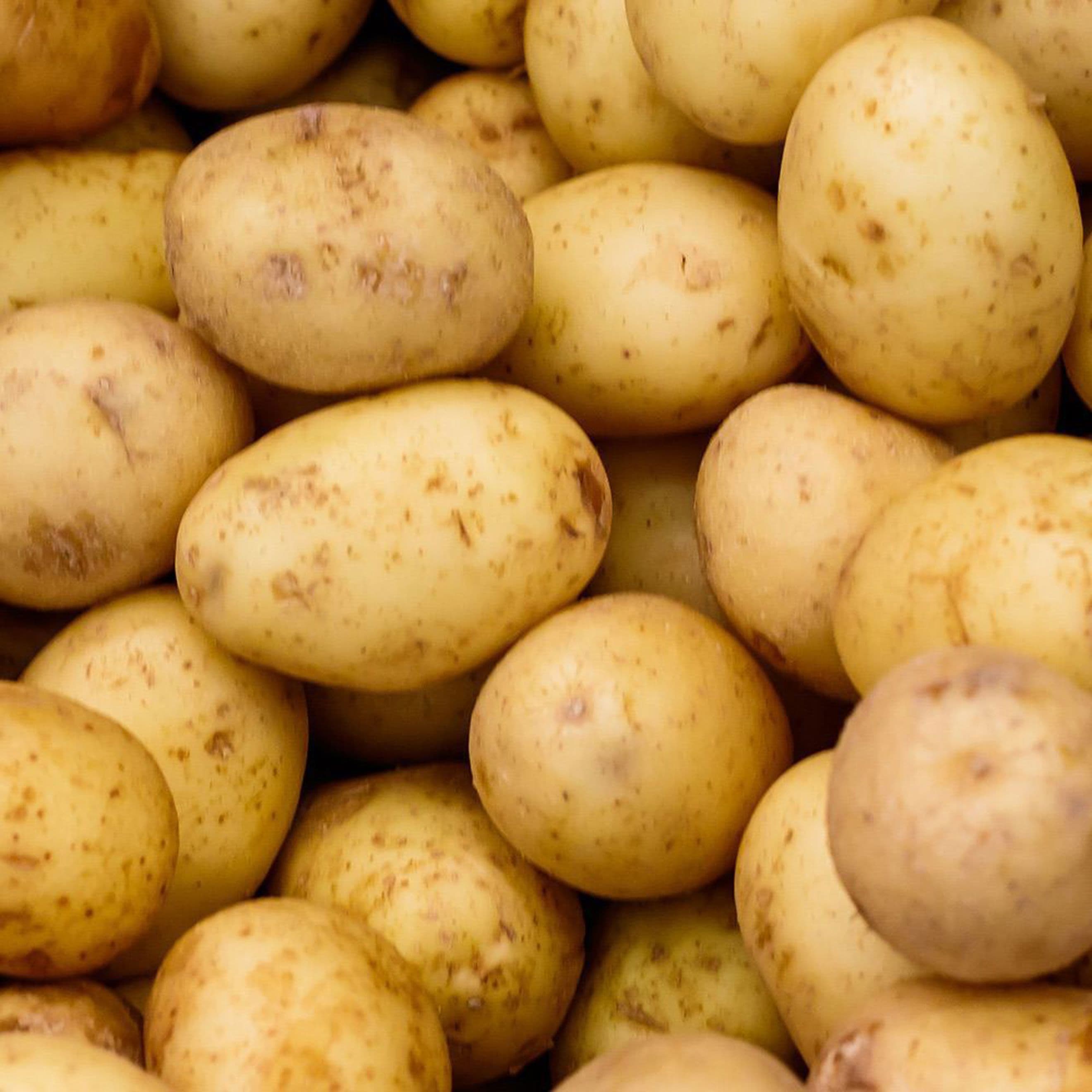Potato: Twinner (all-rounder)